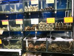 -蚝专家(北滘店)