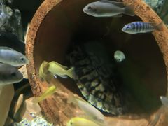 -太平洋海底世界