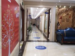 -碧莲盛·不剃发植发