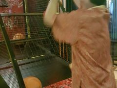 -东方之珠洗浴休闲广场(南开店)