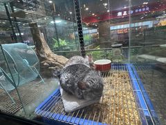 -凯德广场(学府店)