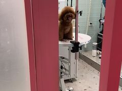 -FAELING PETS美天灵宠物(合生汇店)