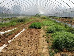 -龙湖东院农庄(乡间小路店)