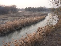 -北京麋鹿生态实验中心