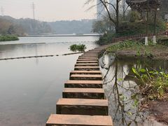 -重庆彩云湖湿地公园