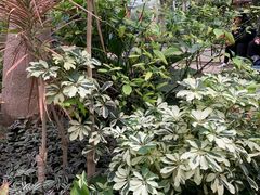 -北京植物园-展览温室