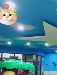 -佳贝爱益智主题儿童乐园(乐尔乐旗舰店)