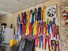 -柴犬高等学院·狗咖·柴犬售卖·宠物训练