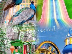 -南湖梦幻岛
