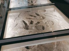 -湖南省地质博物馆