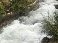 -黄龙山原始森林景区