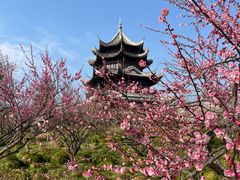 -上海海湾国家森林公园