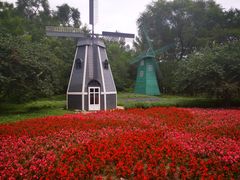 -黑龙江省森林植物园