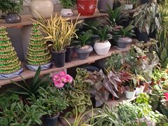 -梅陇花鸟市场-停车场