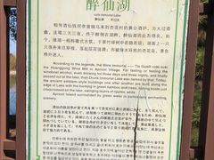 -杏花村文化旅游区