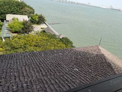 -大湾区中央湿地公园