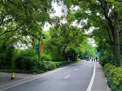 -西溪国家湿地公园