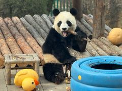 -大连森林动物园