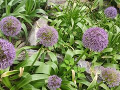 -国家植物园南园