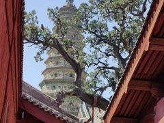 -大槐树寻根祭祖园