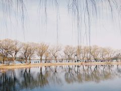 -颐和园