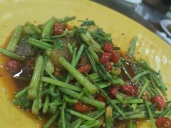 -复旦大学江湾校区食堂