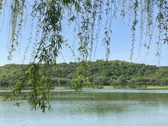 -羊山湖公园