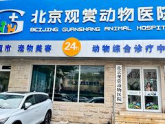 -北京观赏动物医院·24小时大型综合·猫专科·异宠专科