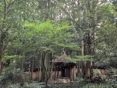 -黄公望隐居地
