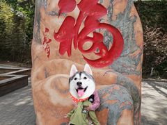 -北京鹫峰国家森林公园