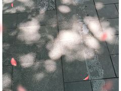 -世代星球·保龄球·镭战真人CS·团建(杨浦店)