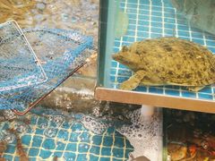 -阿明小菜·海鲜·上海菜(梅陇华理店)