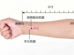 -裕和堂中医推拿艾灸(太古汇臻品店)