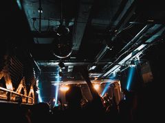 -坚果NUTS
