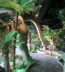 -恐龙探索乐园(磁器口店)