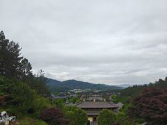 -庐山风景名胜区-东林大佛