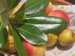 -季季山·云南野生菌火锅(上海首店)