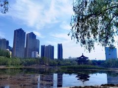 -青城公园