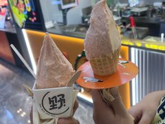 -野人先生现做冰淇淋(西安赛格店)