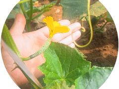 -百花人家(清水镇店)