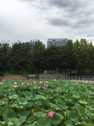 -大望京儿童游乐场