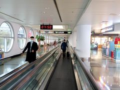 -厦门高崎国际机场-T3航站楼