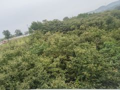 -竹泉村旅游度假区