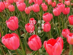 -泉城广场