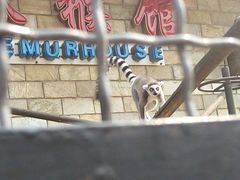 -辛玛王国游乐园