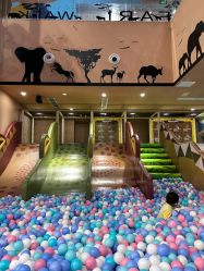 -卡通尼·Safari非洲探索乐园·生日会(金桥国际商业广场店)