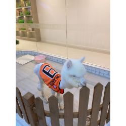 -Moni星球萌宠·小马宝莉·灵蛇·高端高阶全萌宠互动体验俱乐部(红豆国际广场店)