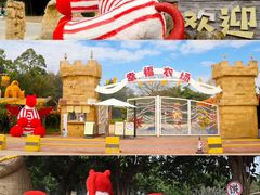 -汕头中海黄金海岸水上乐园