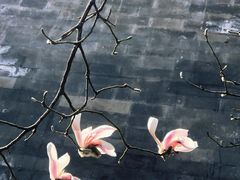 -东华门大街小区