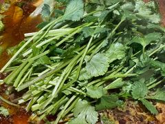 -望蝎门羊蝎子火锅(祭城店)